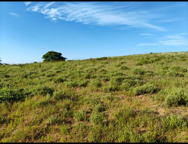1,410M² VACANT LAND FOR SALE IN SEATON ESTATE